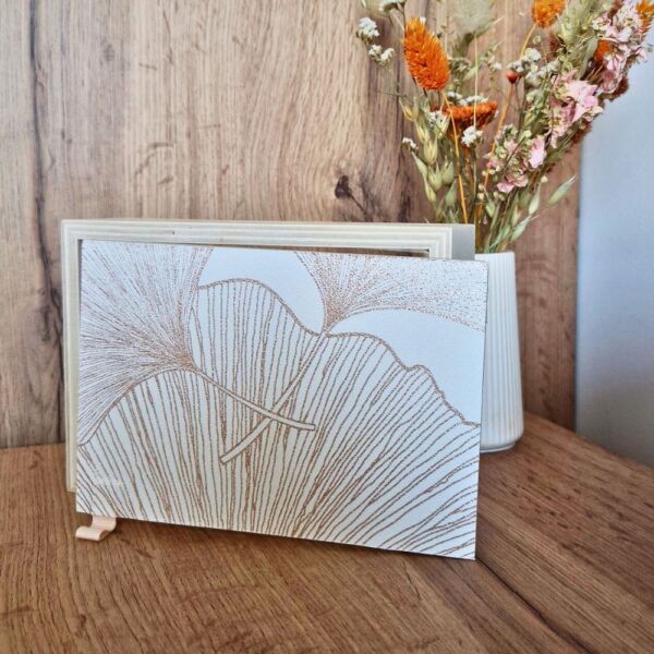 Galerie du produit - Packs eclosion florale